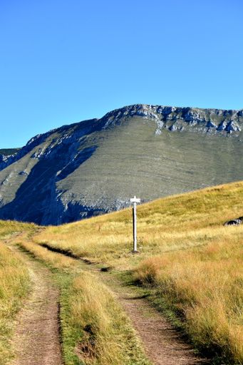 A vertical shot of a rural road passing through the rocky mountain on a sunny day