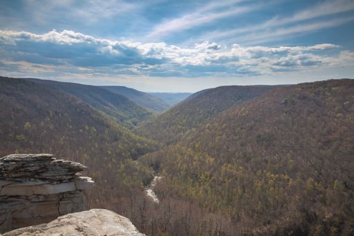 A wide angle shot of Blackwater Canyon in Blackwater Falls State Park in West Virginia