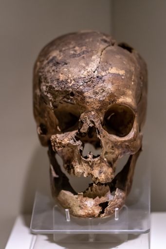 A closeup shot of a skull from Hittite monuments