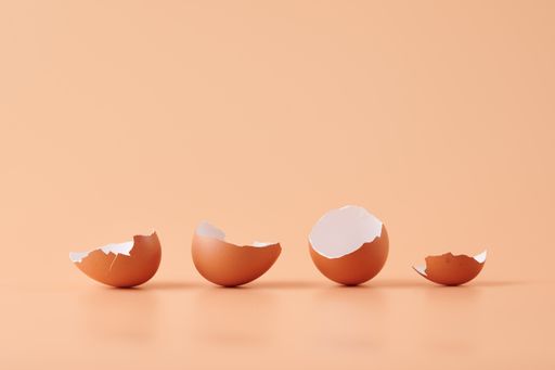 An amazing shot of eggshells isolated on orange background
