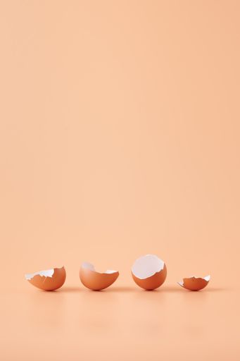 An amazing shot of eggshell isolated on orange background