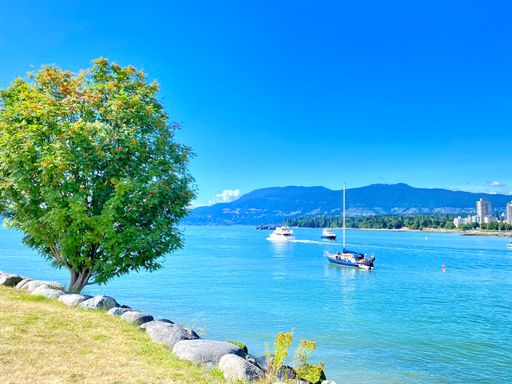 A serene coastal scene with boats sailing on a clear blue sea, vibrant green tree, and distant mountains under a bright sky.