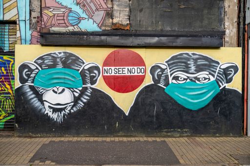 The Street art mural in Belfast depicting monkeys wearing medical masks