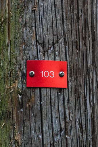 A vertical closeup of the number 103 on a red surface on a wooden wall