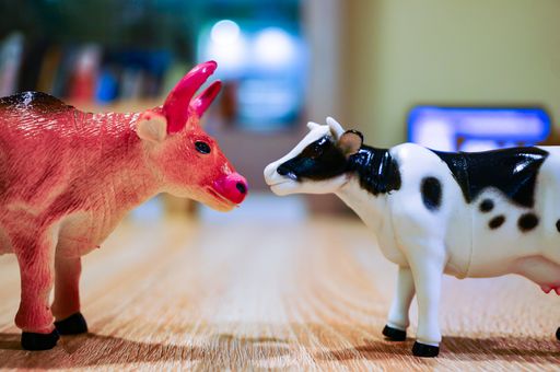 A closeup shot of a bull and dairy cow toy on a wooden table with a blurred background