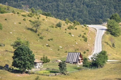A peaceful landscape with lonely road and tiny wooden houses in mountains with a background of dense forest.