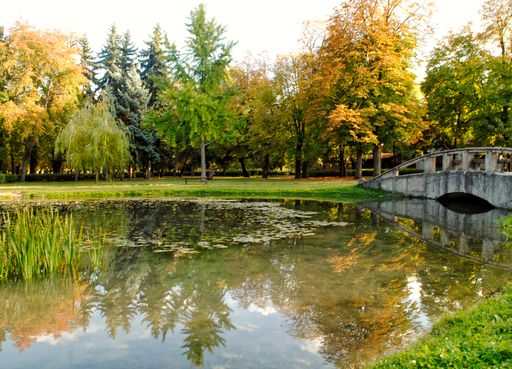 The lake with reflections in it with the trees and clear sky in the background on a sunny day