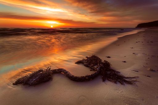 A scenic view of a sunset at the coast of the Baltic Sea, Lithuania