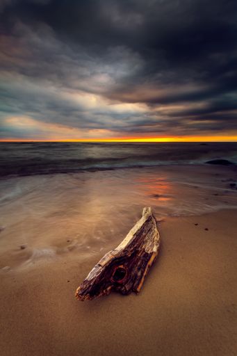 A vertical shot of a damaged tree during the sunset at the coast of the Baltic Sea, Lithuania