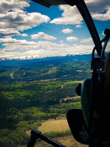 A beautiful view from a helicopter of green forests surrounded by mountains under a cloudy sky