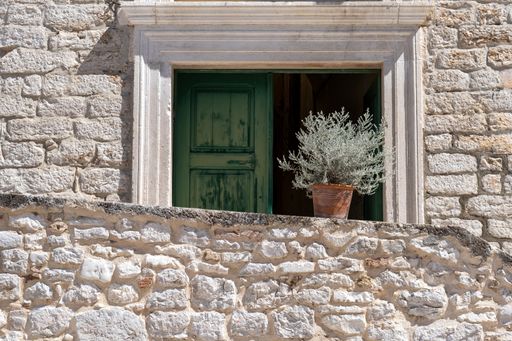 A Mediterranean scene of a herb plant in pot on a white stone wall in front of a green door in the summer sun, with room for text and space for copy.