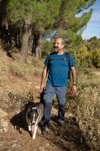 bearded man walking and playing with his border collie dog in the woods on a sunny day