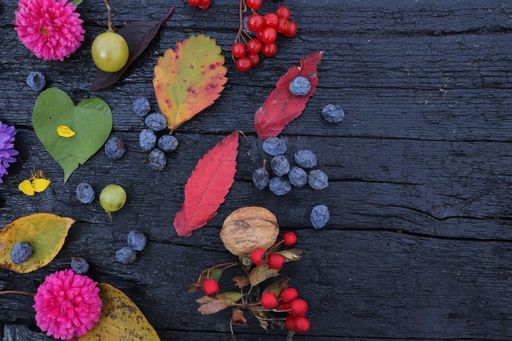 A flat lay of different colored leaves, berries, and flowers placed on black board- autumn concept