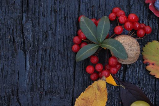 A flat lay of different colored leaves and berries placed on black board- autumn concept