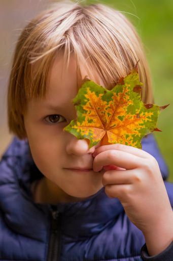 A vertical closeup shot of a little blond baby Caucasian boy holding a colorful autumn leaf on his eye.