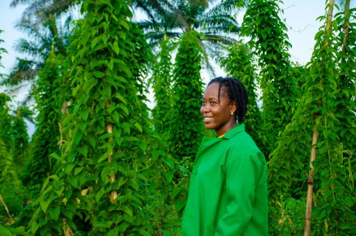 The young African woman working in the garden.