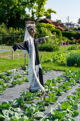 A vertical shot of a scarecrow in the agricultural garden with plants and trees