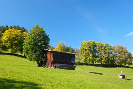 A wooden shed on a green hill