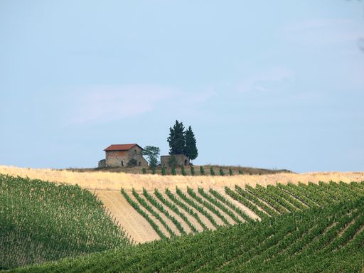 Tuscany - solitary old house on the hill amongst vineyards. Italy