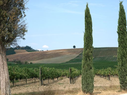 Tuscan landscape in the best edition. Italy
