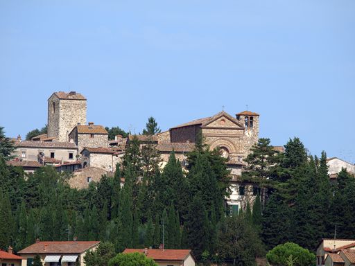 Small town in Tuscany amongst vineyards and an olive groves.