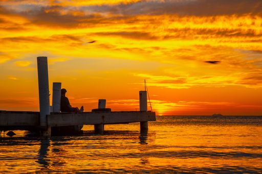 A beautiful picture of a silhouette sitting on the wooden bridge against a mesmerizing orange sunset in Roatan. Honduras