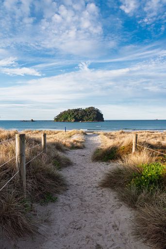 Sandy path leading to a serene beach with a lush island and vibrant blue sky in the background.