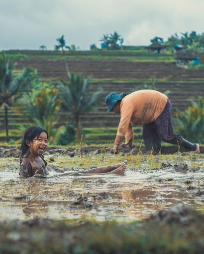 Underprivileged poor girl plays in rice padi while mother works hard.