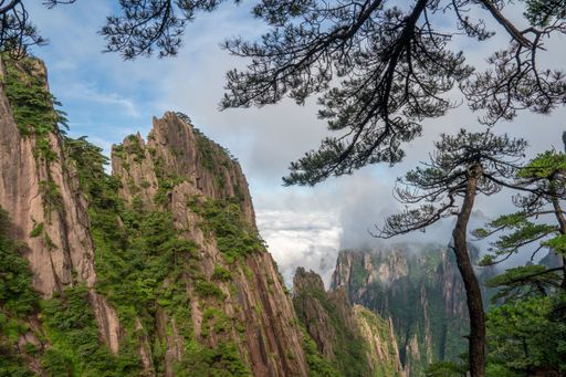 Scenic view of Huangshan mountains with lush greenery and misty clouds in China, framed by pine trees under a clear blue sky.