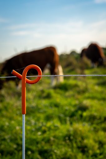 Detail of electric fencing used in agriculture as a barrier