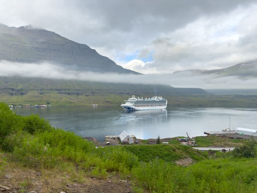 A cruise ship sailing through a serene fjord surrounded by lush green mountains under a cloudy sky.