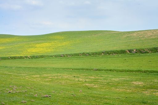 A serene landscape of rolling green hills under a clear sky, showcasing the tranquility of nature.