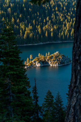A breathtaking view of Emerald Bay on the lake Tahoe with dense forest in the background in USA