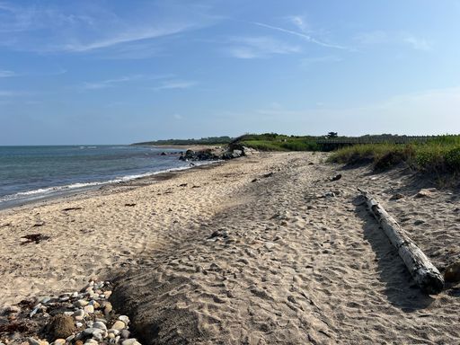 A serene beach landscape with clear blue skies and gentle waves, featuring driftwood and grassy dunes, captured on a sunny day.