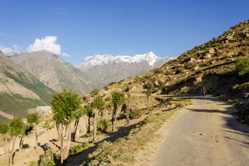 Keylong, Himachal Pradesh, India - July 2012: A mountain road with a view of snow capped mountains in the Himalayan town of Keylong.