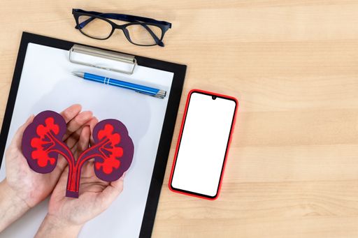 A closeup of the hands holding paper kidneys above the clipboard on the table.