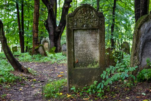 The Jewish Cemetery in Lesko, Poland