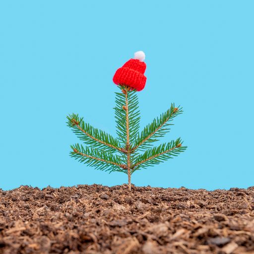 A vertical shot of a fir twig and winter hat on the ground on a pastel blue background
