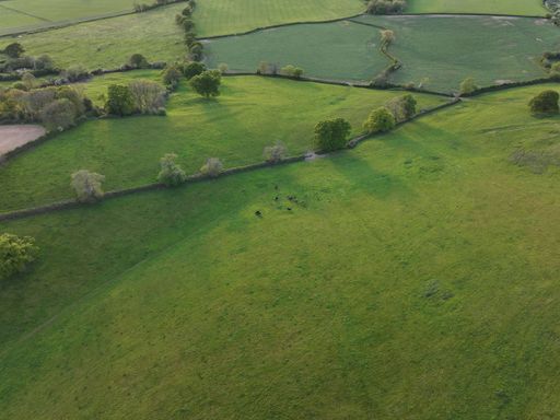 Aerial view of lush green fields and scattered trees in a rural landscape, showcasing natural beauty and tranquility.