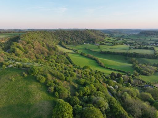Aerial view of lush green countryside with rolling hills and scattered trees under a clear sky.