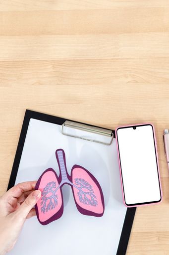 A vertical closeup of the hands holding paper lungs above the clipboard on the table.