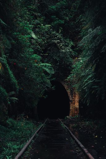 A vertical shot of a railway going to tunnel in a magical dark forest.