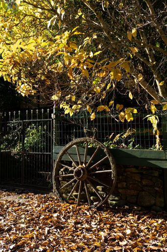A vertical shot of an old cart wheel in a park covered in dried leaves under the sunlight
