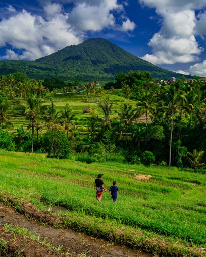 A rearview of two farmers walking in an agricultural field  in the countryside
