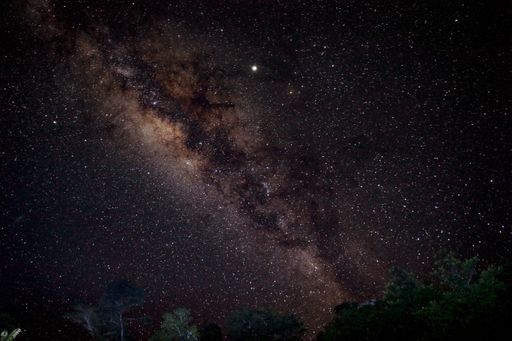 Long exposure photo of the Milky Way set in a starfield, in a moonless cloudless night, rising over the canopy of tropical rainforest of French Guiana