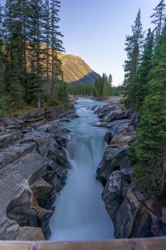 A beautiful shot of a river stream flowing in the middle of a forest surrounded by trees