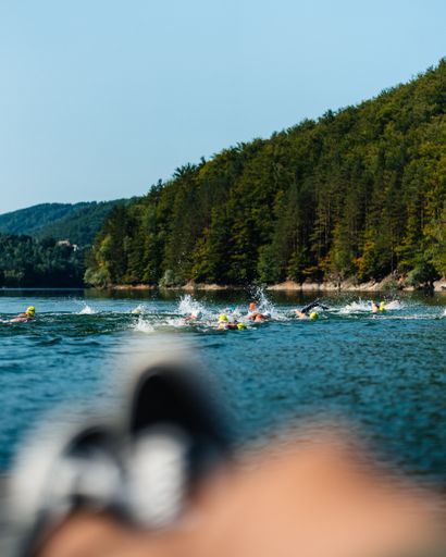 A vertical shot of a beach and a forest with fir trees
