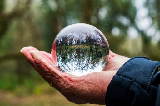 A closeup of the Hand holding a crystal ball reflecting the forest.