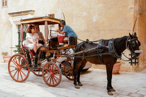 People traveling around the Mdina in a horse carriage