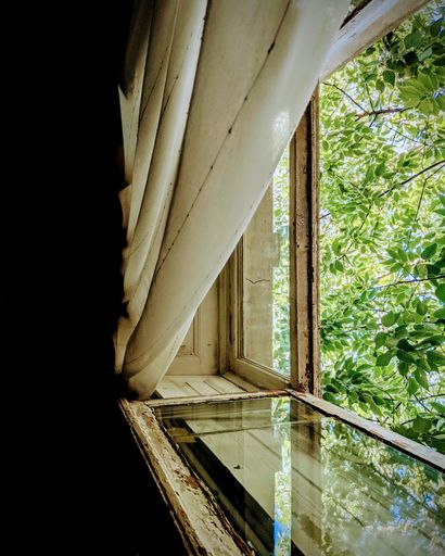A vertical shot of the vintage window with a white curtain and green tree branches outside.